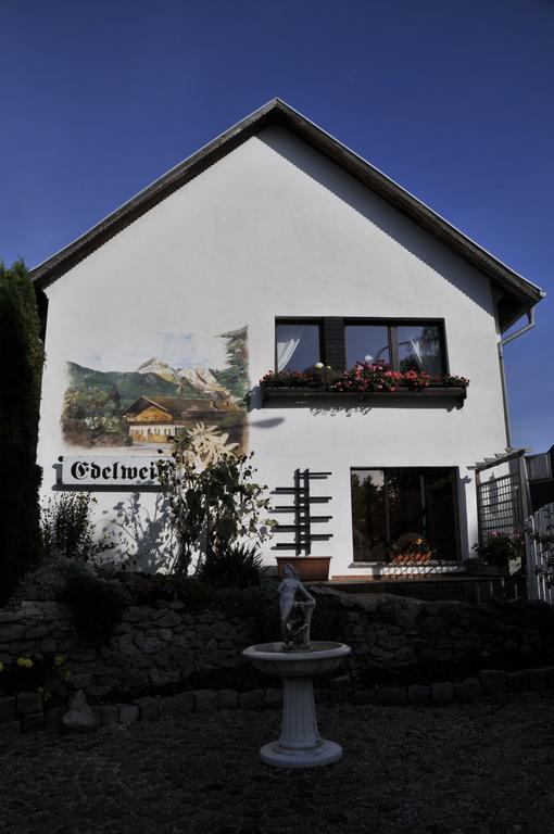 Apartment Edelweiss Egsdorf エクステリア 写真