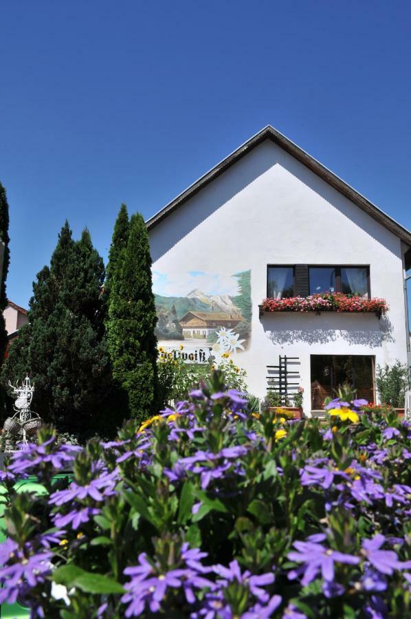 Apartment Edelweiss Egsdorf エクステリア 写真